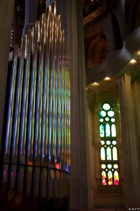 DSCF8316-c