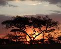 sunset3