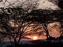 DSCF3760